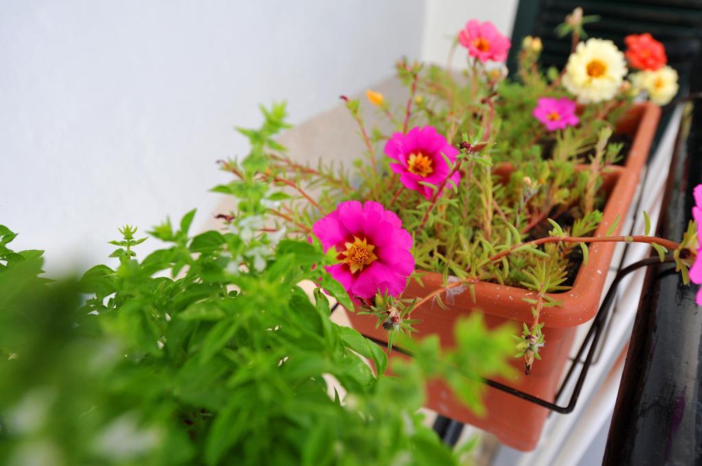 Apartman Branka Split Extérieur photo